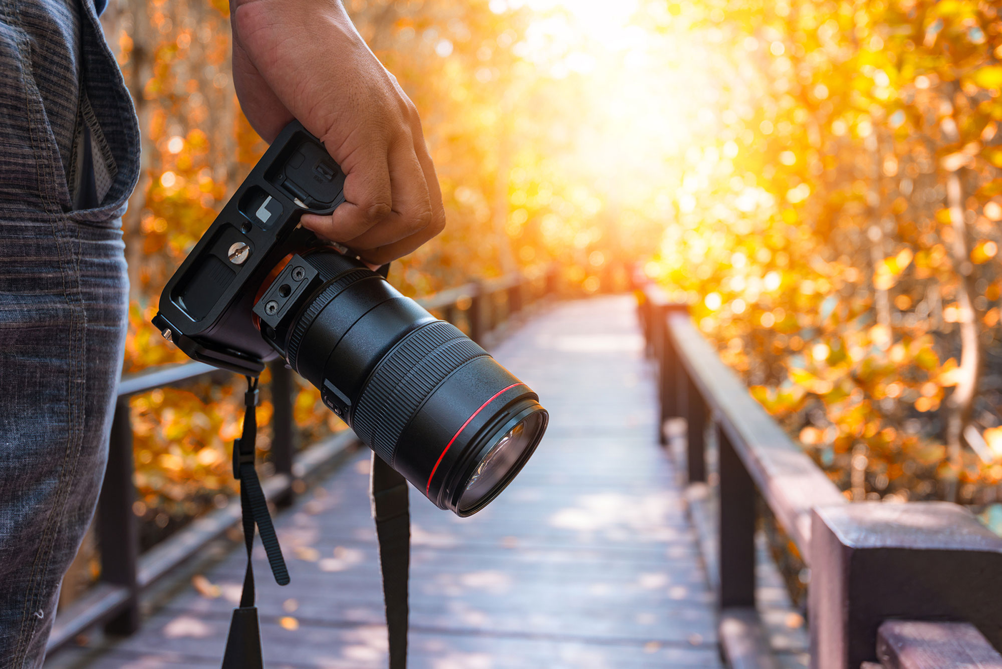High-End Photography: Exclusive Collections for Art Enthusiasts